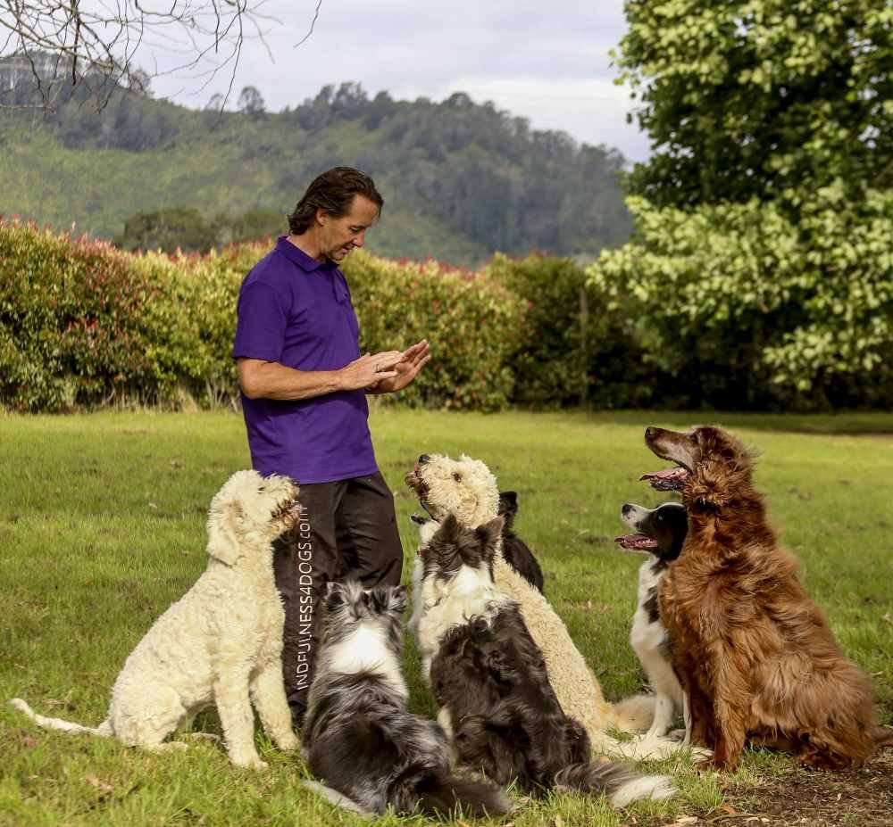 Darran-Rowe-Canine-Behaviourist